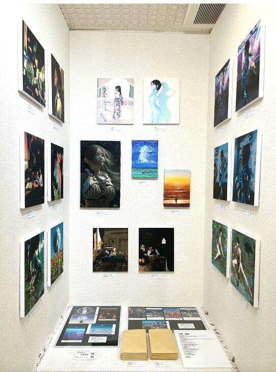 展示作品